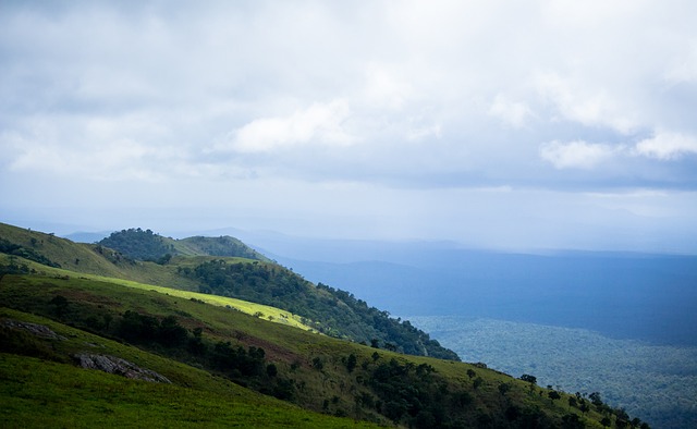 巴西队官方：三月将和法国、克罗地亚分别进行热身赛