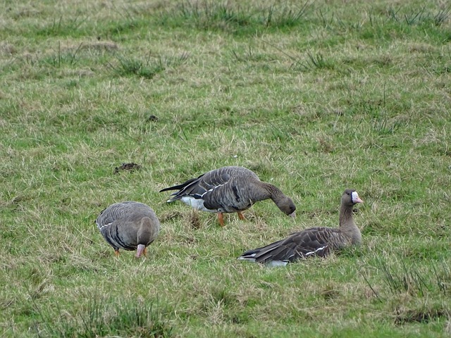 防守端的对抗太硬核了